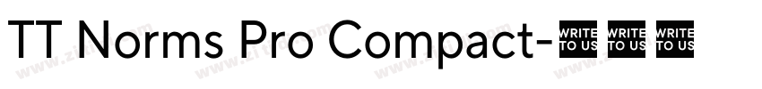 TT Norms Pro Compact字体转换